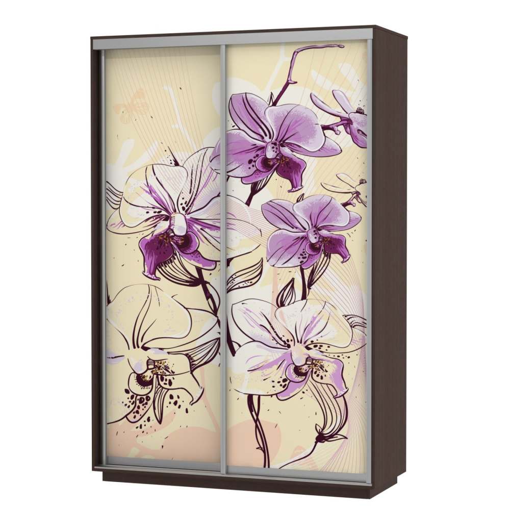 Шкаф-купе "Хит" Фото/венге